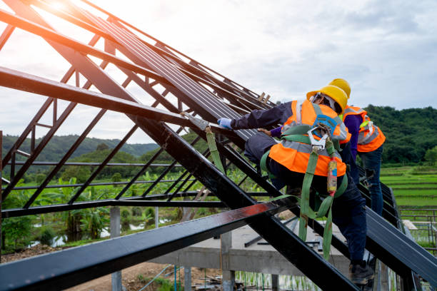 Best Roof Gutter Cleaning  in East Ithaca, NY